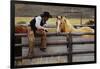 Cowboy and Horses-Darrell Gulin-Framed Photographic Print