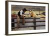 Cowboy and Horses-Darrell Gulin-Framed Photographic Print