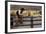 Cowboy and Horses-Darrell Gulin-Framed Photographic Print