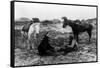 Cowboy and Navaho Indian Playing Cards Photograph-Lantern Press-Framed Stretched Canvas