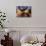 Cowboy and Rope, Ponderosa Ranch, Seneca, Oregon, USA-Darrell Gulin-Photographic Print displayed on a wall