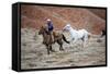 Cowboy at Full Gallop-Terry Eggers-Framed Stretched Canvas