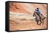 Cowboy at Full Gallop-Terry Eggers-Framed Stretched Canvas