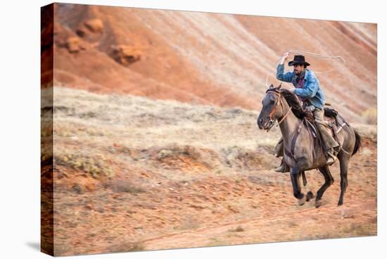 Cowboy at Full Gallop-Terry Eggers-Stretched Canvas