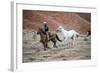 Cowboy at Full Gallop-Terry Eggers-Framed Photographic Print