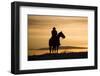 Cowboy at Sunset-Darrell Gulin-Framed Photographic Print