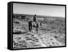 Cowboy at the Matador Ranch in Texas-Hansel Mieth-Framed Stretched Canvas