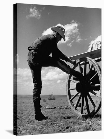 Cowboy at the Matador Ranch in Texas-Hansel Mieth-Stretched Canvas