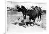 Cowboy being Bucked by Bull Rodeo Photograph - Miles City, MT-Lantern Press-Framed Art Print