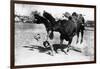 Cowboy being Bucked by Bull Rodeo Photograph - Miles City, MT-Lantern Press-Framed Art Print