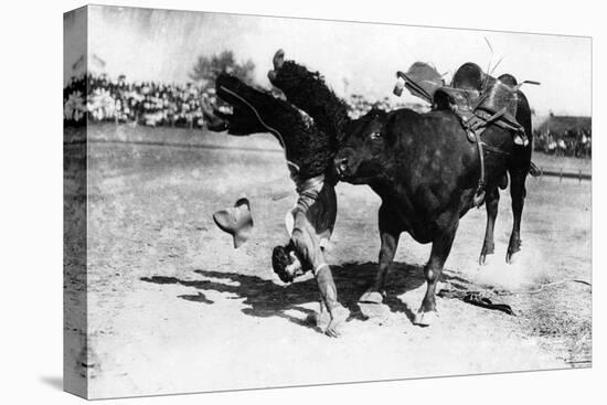 Cowboy being Bucked by Bull Rodeo Photograph - Miles City, MT-Lantern Press-Stretched Canvas