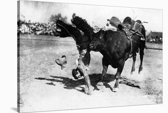 Cowboy being Bucked by Bull Rodeo Photograph - Miles City, MT-Lantern Press-Stretched Canvas