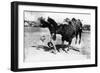 Cowboy being Bucked by Bull Rodeo Photograph - Miles City, MT-Lantern Press-Framed Art Print