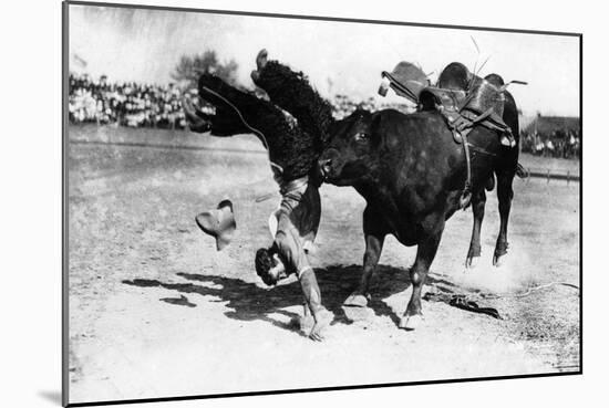 Cowboy being Bucked by Bull Rodeo Photograph - Miles City, MT-Lantern Press-Mounted Art Print