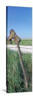 Cowboy Boot on a Fence, Pottawatomie County, Kansas, USA-null-Stretched Canvas