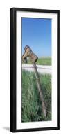 Cowboy Boot on a Fence, Pottawatomie County, Kansas, USA-null-Framed Premium Photographic Print