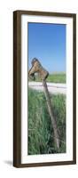 Cowboy Boot on a Fence, Pottawatomie County, Kansas, USA-null-Framed Photographic Print