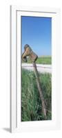Cowboy Boot on a Fence, Pottawatomie County, Kansas, USA-null-Framed Photographic Print