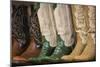 Cowboy Boots II-Kathy Mahan-Mounted Art Print