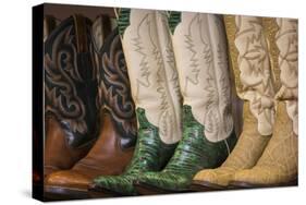 Cowboy Boots II-Kathy Mahan-Stretched Canvas