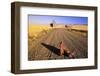 Cowboy Boots on Gravel Road-Darrell Gulin-Framed Photographic Print