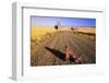 Cowboy Boots on Gravel Road-Darrell Gulin-Framed Photographic Print