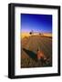 Cowboy Boots on Gravel Road-Darrell Gulin-Framed Photographic Print