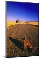 Cowboy Boots on Gravel Road-Darrell Gulin-Mounted Photographic Print