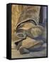 Cowboy Boots on Sleeping Cowboy, Montana, USA-Adam Jones-Framed Stretched Canvas