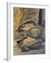 Cowboy Boots on Sleeping Cowboy, Montana, USA-Adam Jones-Framed Photographic Print