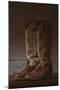 Cowboy Boots VIII-Nathan Larson-Mounted Photographic Print