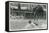 Cowboy Bucked Off Bronco, Montana-null-Framed Stretched Canvas