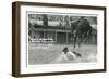 Cowboy Bucked Off Bronco, Montana-null-Framed Art Print