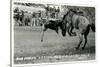 Cowboy Bucked Off Bronco, Montana-null-Stretched Canvas