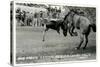 Cowboy Bucked Off Bronco, Montana-null-Stretched Canvas