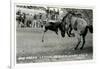 Cowboy Bucked Off Bronco, Montana-null-Framed Art Print