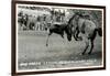 Cowboy Bucked Off Bronco, Montana-null-Framed Art Print