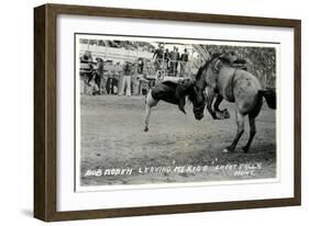 Cowboy Bucked Off Bronco, Montana-null-Framed Art Print