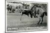 Cowboy Bucked Off Bronco, Montana-null-Mounted Art Print