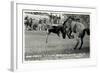 Cowboy Bucked Off Bronco, Montana-null-Framed Art Print