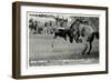 Cowboy Bucked Off Bronco, Montana-null-Framed Premium Giclee Print