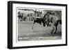 Cowboy Bucked Off Bronco, Montana-null-Framed Premium Giclee Print