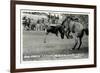 Cowboy Bucked Off Bronco, Montana-null-Framed Premium Giclee Print