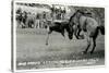 Cowboy Bucked Off Bronco, Montana-null-Stretched Canvas