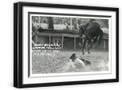 Black Frame