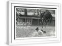 White Frame