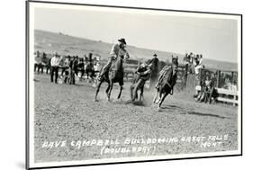 Cowboy Bulldogging, Montana-null-Mounted Art Print