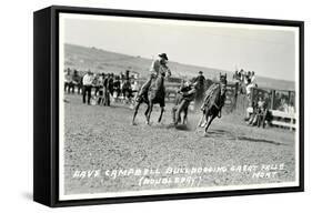 Cowboy Bulldogging, Montana-null-Framed Stretched Canvas