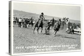 Cowboy Bulldogging, Montana-null-Stretched Canvas