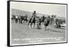 Cowboy Bulldogging, Montana-null-Framed Stretched Canvas